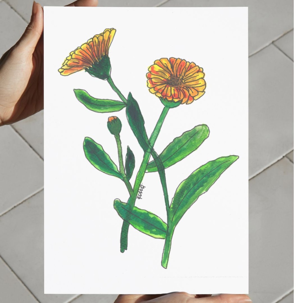 Sunset Horizon Canvas Art