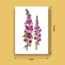 Enchanting Digitalis | A4 Wall Poster