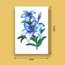 Delicate Lilium | A4 Wall Poster