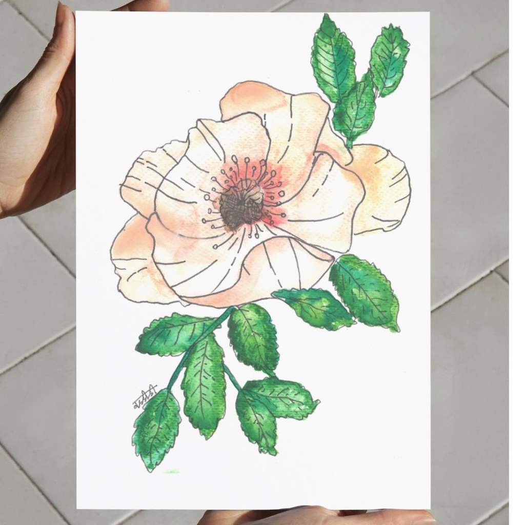 Nature's Charm | A4 Wall Poster