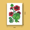 Tropaeolum Majesty | A4 Wall Poster