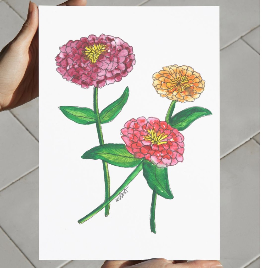 Zinnia Radiance | A4 Wall Poster