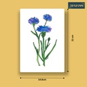 Centaurea-Cyanus | A5 Table Poster | Only Print