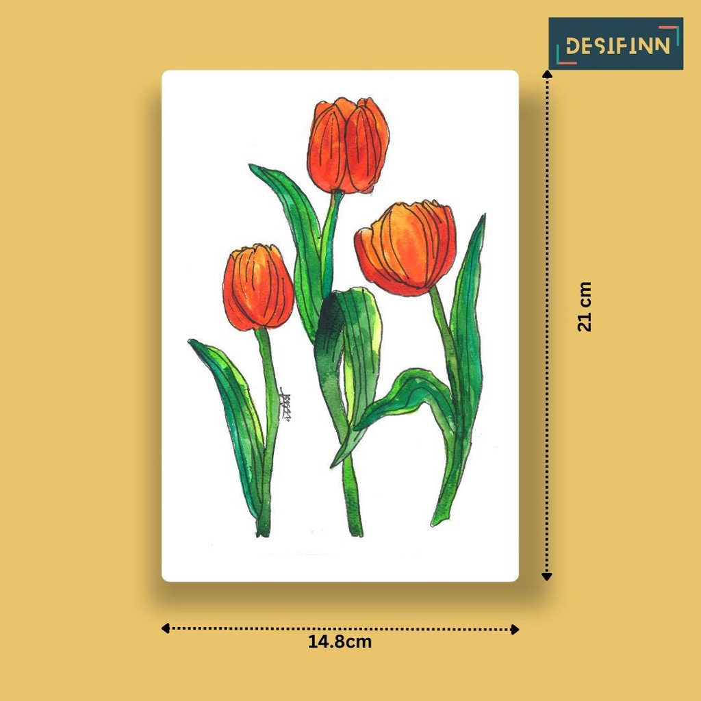 Tulipa-28.jpg