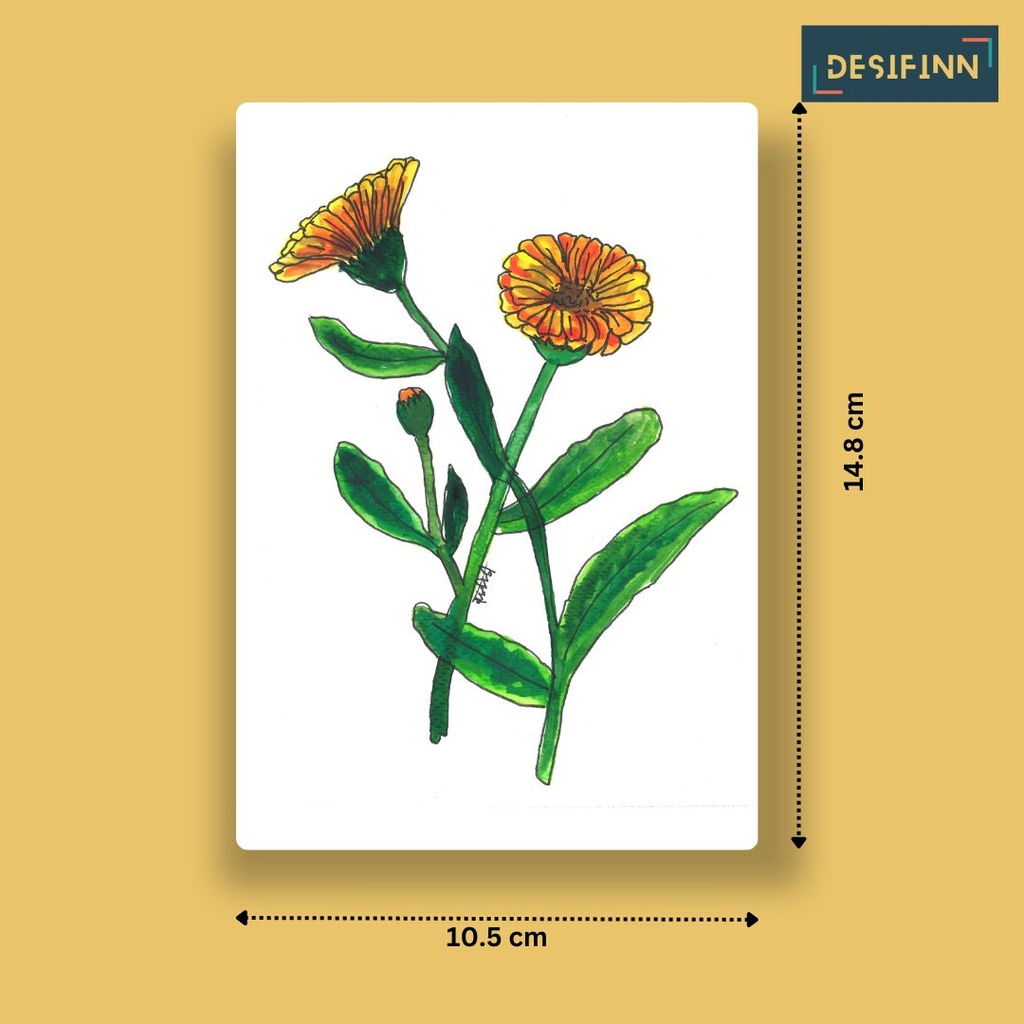 Calendula | A6 Card | Only Print