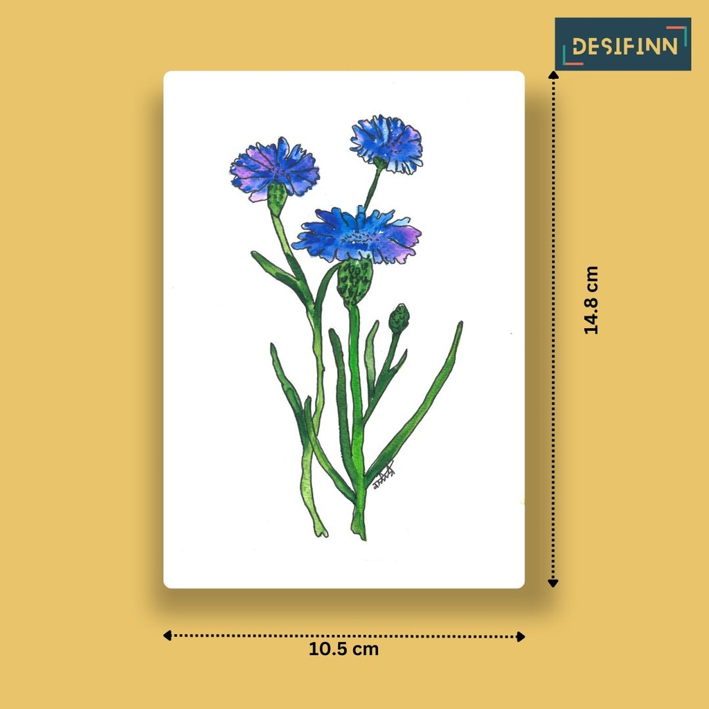 Centaurea Cyanus | A6 Card | Only Print