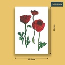 Papaver | A6 Card | Only Print