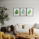 Nature’s Trio in Gentle Hues | 84 cm x 60 cm x 0.1 cm | A set of 3 Original Arts on 300 Gsm Card