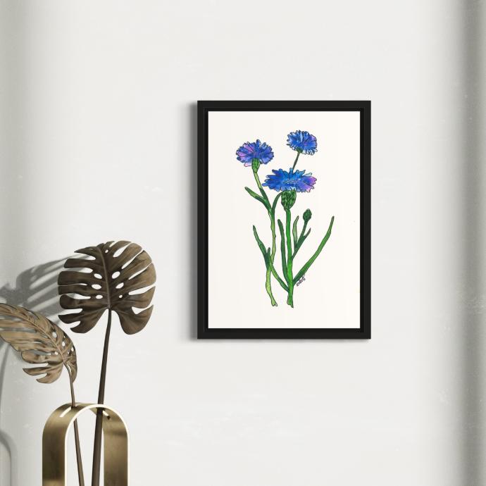 Peppy Petals - Centaurea-Cyanus - A4 Size WallPoster  | 29.7 cm x 21 cm x 0.1 cm | Print on High Quality 300GSM Paper