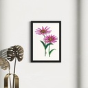Peppy Petals - Echinacea - A4 Size WallPoster  | 29.7 cm x 21 cm x 0.1 cm | Print on High Quality 300GSM Paper