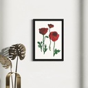 Peppy Petals - Papaver - A4 Size WallPoster  | 29.7 cm x 21 cm x 0.1 cm | Print on High Quality 300GSM Paper