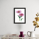 Peppy Petals - Echinacea - A5 Size TablePoster | 21 cm x 14.8 cm x 0.1 cm | Print on High Quality 300GSM Paper