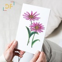 Peppy Petals - Echinacea - A6 Card | 14.8 cm x 10.5 cm x 0.1 cm | Print on High Quality 300GSM Paper