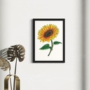 Peppy Petals - Helianthus-Annus - A4 Size WallPoster  | 29.7 cm x 21 cm x 0.1 cm | Print on High Quality 300GSM Paper
