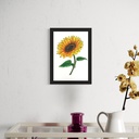 Peppy Petals - Helianthus-Annus - A5 Size TablePoster | 21 cm x 14.8 cm x 0.1 cm | Print on High Quality 300GSM Paper