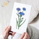 Peppy Petals - Centaurea-Cyanus - A6 Card | 14.8 cm x 10.5 cm x 0.1 cm | Print on High Quality 300GSM Paper