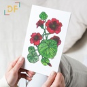 Peppy Petals - Tropaeolum-Majus - A6 Card | 14.8 cm x 10.5 cm x 0.1 cm | Print on High Quality 300GSM Paper