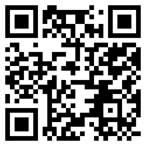 google store qr