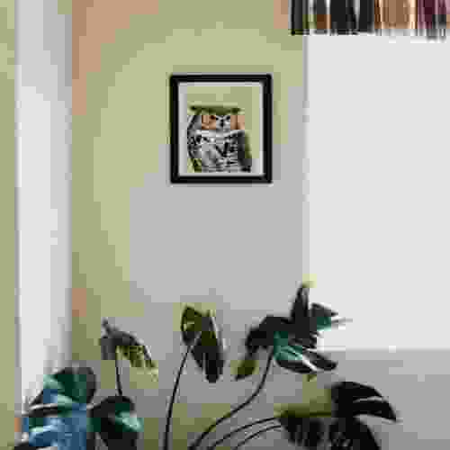 home 2 gallery 05