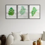 Three framed watercolor botanical prints featuring green leaves on a white wall.